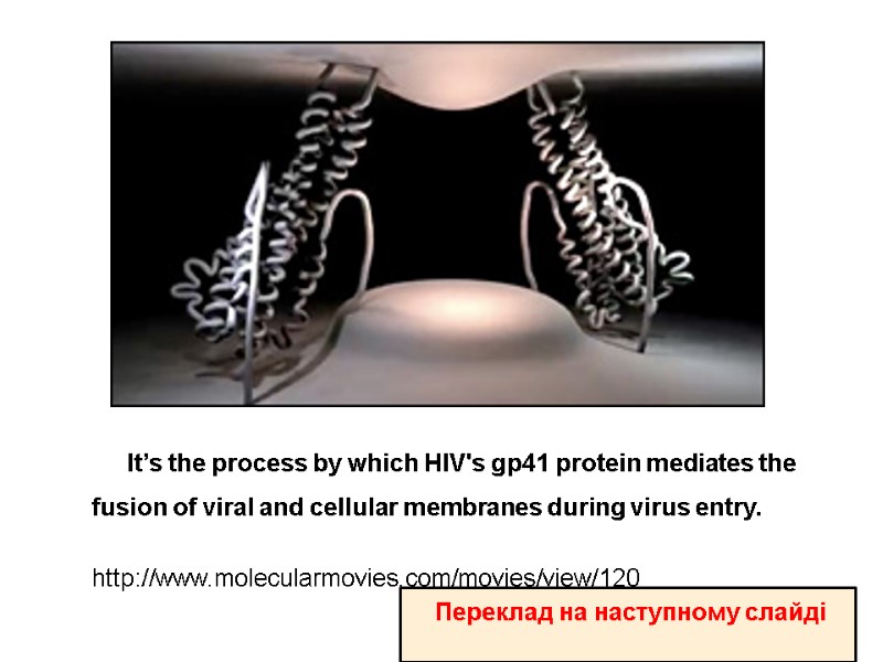 It’s the process by which HIV's gp41 protein mediates the fusion of viral and